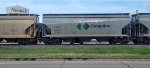 TCMX 308591